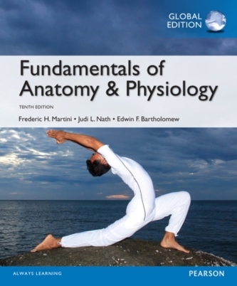 Fundamentals of Anatomy & Physiology