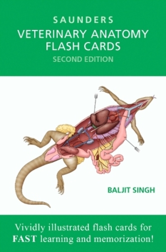 Saunders Veterinary Anatomy Flash Cards