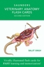 Saunders Veterinary Anatomy Flash Cards