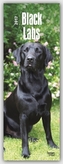 Black Labs 2017