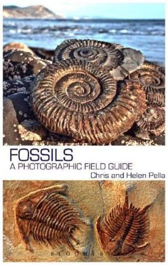 Fossils