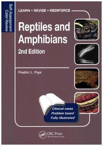 Reptiles and Amphibians