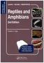 Reptiles and Amphibians