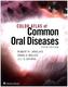 Color Atlas of Common Oral Diseases