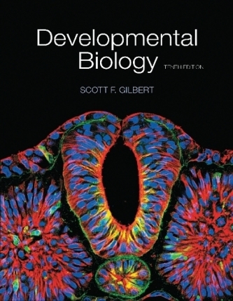 Developmental Biology