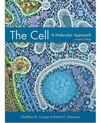 The Cell