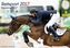 Reitsport 2017
