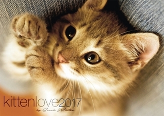 kittenlove 2017