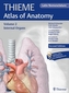 Internal Organs, Latin nomenclature