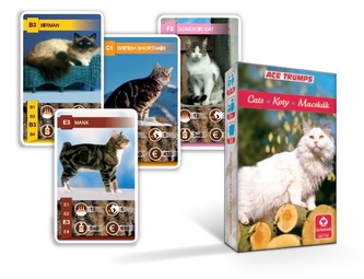 Kvarteto Mačky angielska wersja