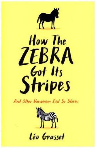 How the Zebra Got its Stripes