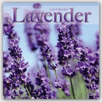 Lavender 2017