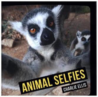 Animal Selfies