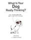 What is your Dog Really Thinking?