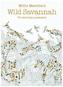 Millie Marotta's Wild Savannah Postcard Box