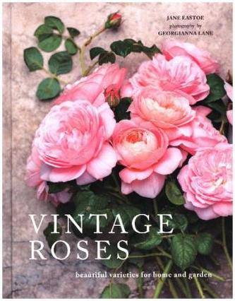 Vintage Roses