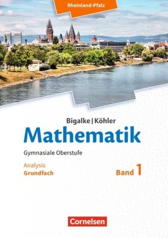 Grundfach Analysis, Schülerbuch