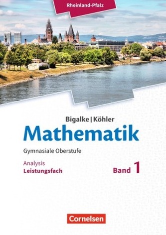 Leistungsfach Analysis, Schülerbuch