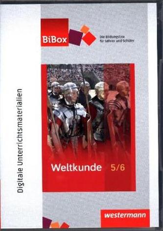 7./8. Schuljahr, Schülerband