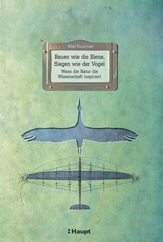Bauen wie die Biene, fliegen wie der Vogel