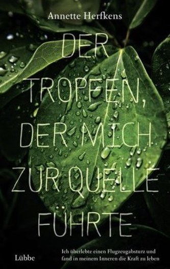 Der Tropfen, der mich zur Quelle führte