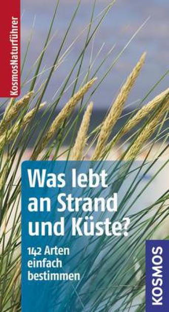 Was lebt an Strand und Küste?