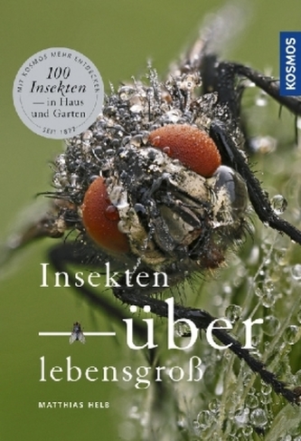 Insekten überlebensgroß
