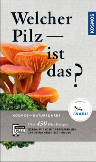 Welcher Pilz ist das?