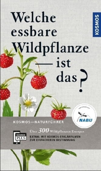 Welche essbare Wildpflanze ist das?