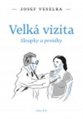 Velká vizita