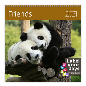 Friends - nástěnný LP kalendář 2021