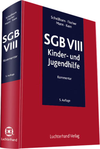 SGB VIII, Kommentar