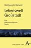 Lebenswelt Großstadt