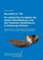 Neustadt LA 156. Ein submariner Fundplatz des späten Mesolithikums und des frühesten Neolithikums in Schleswig-Holstein