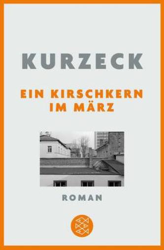 Ein Kirschkern im März