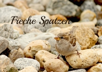 Freche Spatzen (Tischaufsteller DIN A5 quer)