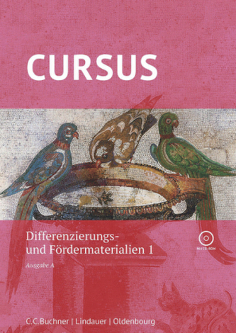 Differenzierungsmaterial, m. CD-ROM