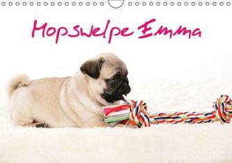 Mopswelpe Emma (Wandkalender 2016 DIN A4 quer)