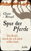 Spur der Pferde