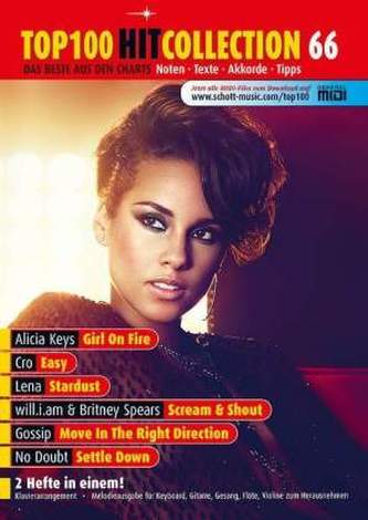 Top 100 Hit Collection. Nr.66