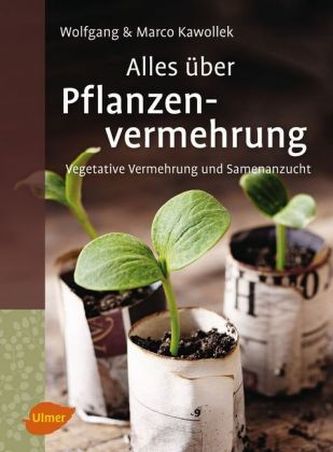 Alles über Pflanzenvermehrung