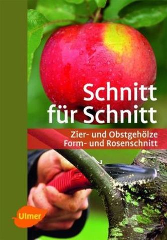 Schnitt für Schnitt