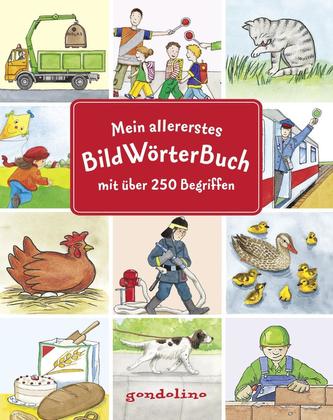 Mein allererstes Bildwörterbuch - Sehen und verstehen