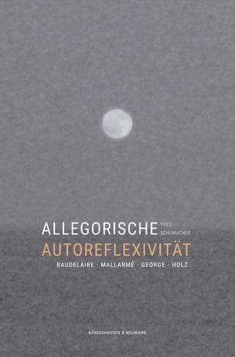 Allegorische Autoreflexivität