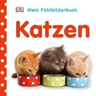 Katzen