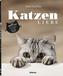 Katzenliebe