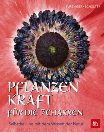 Pflanzenkraft für die 7 Chakren
