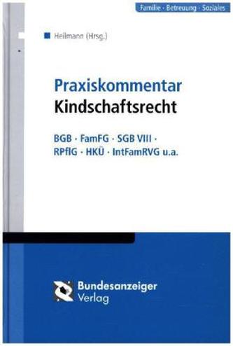 Praxiskommentar Kindschaftsrecht