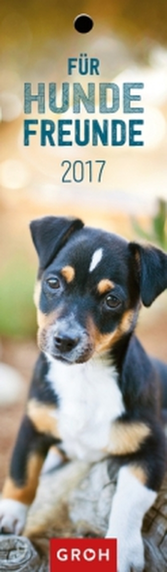 Für Hundefreunde 2017