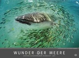 Wunder der Meere 2017